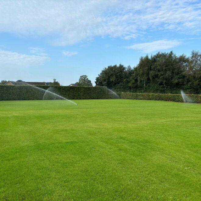 WhatsApp Image 2025-12-16 at 22.49.04