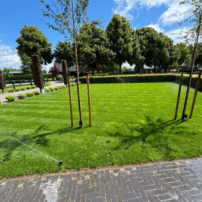 WhatsApp Image 2025-12-16 at 22.52.20